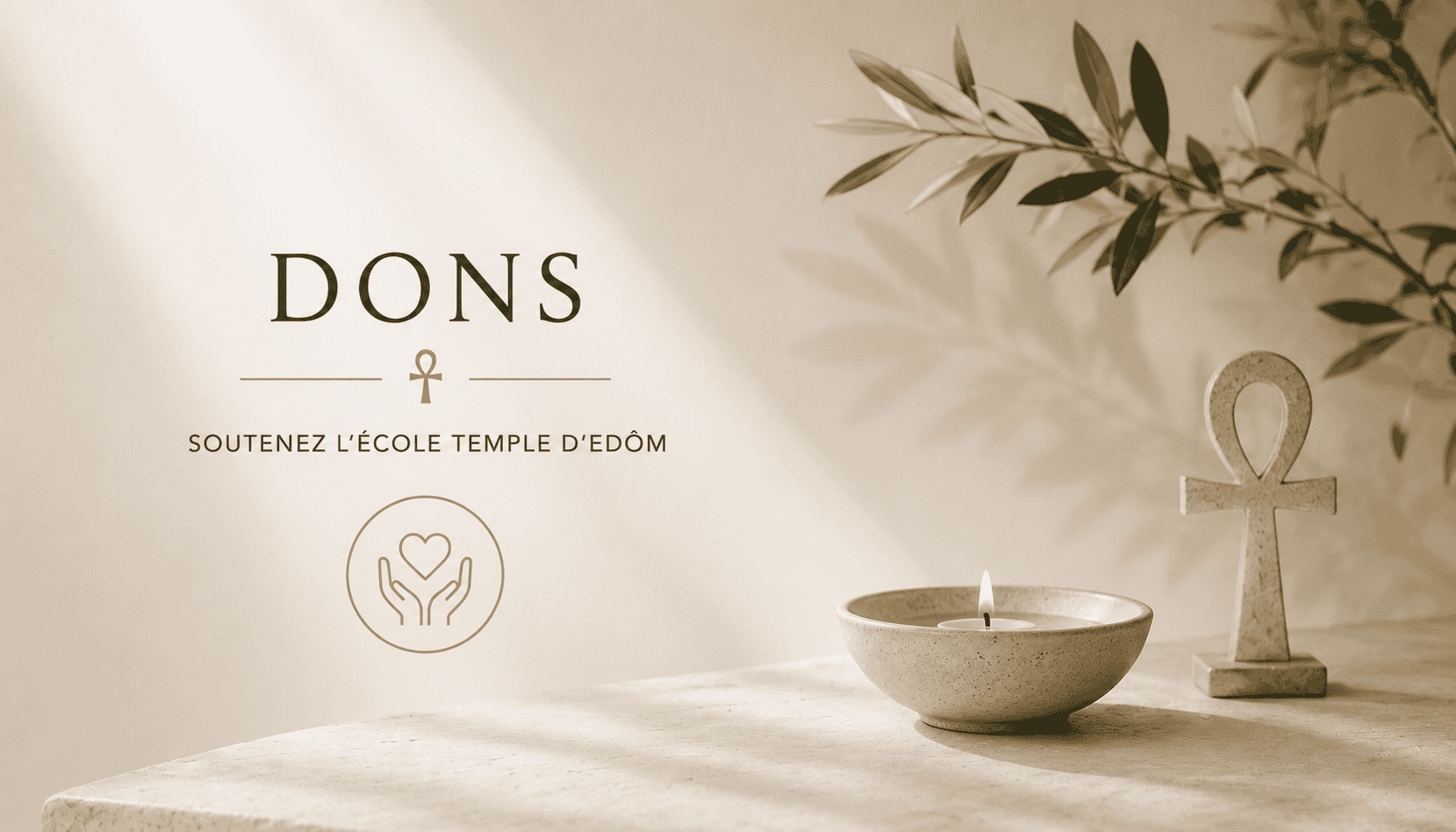 Actions sociales de la fondation Sophia Lucy